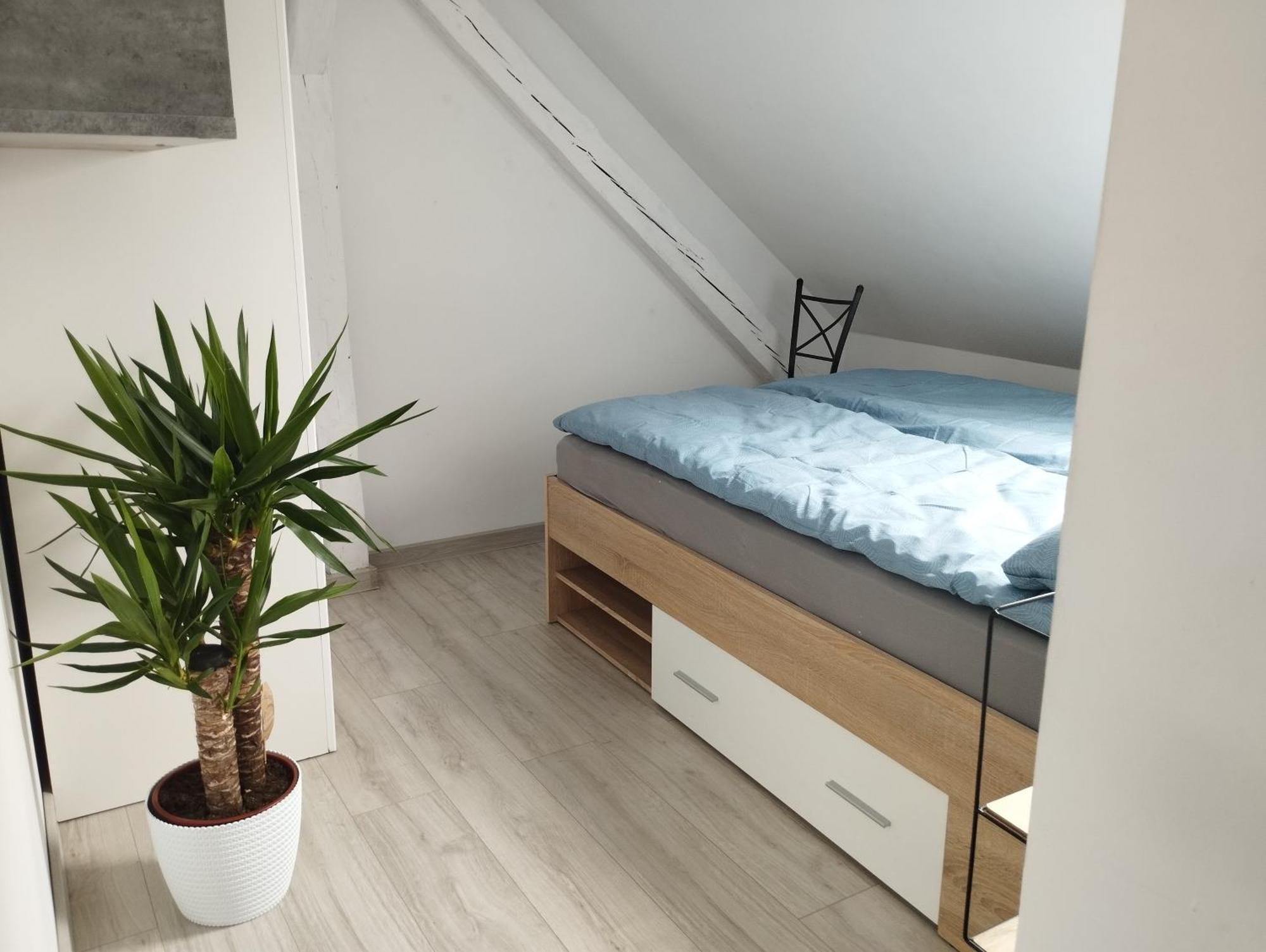 Villa Vip Pokoje Apartament Gniezno Eksteriør billede